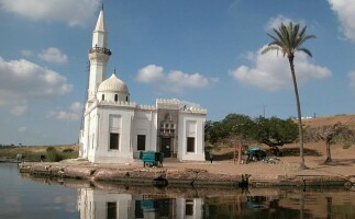 Rosetta Day Tour from Alexandria