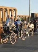 Luxor City Tour by Horse Carriage