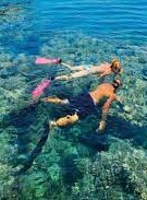 Snorkeling at Mahmya Island from Hurghada