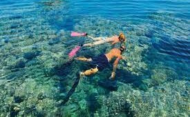 Snorkeling at Mahmya Island from Hurghada