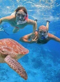Diving Trip in Sharks Bay Group Tour