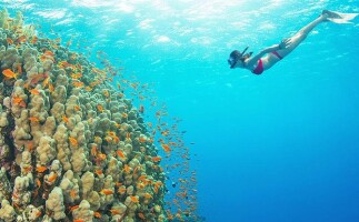 Scuba Diving: 2 Dives From the Shore