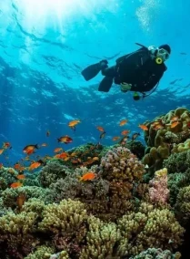 Ras Mohammed Snorkeling Sea Tour by Boat Group Tour