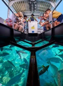 Glass Bottom Boat Cruise And Coral Reef Sightseeing