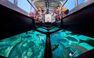 Glass Bottom Boat Cruise And Coral Reef Sightseeing
