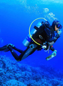 Diving Trip to Tiran Island Group Tour