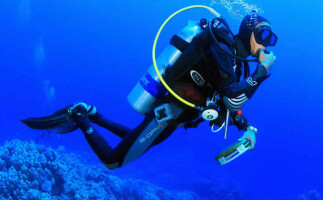 Diving Trip to Tiran Island Group Tour