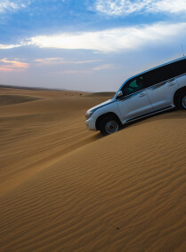 Desert Highlights Experience Tour in Qatar