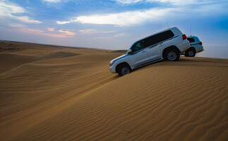Desert Highlights Experience Tour in Qatar