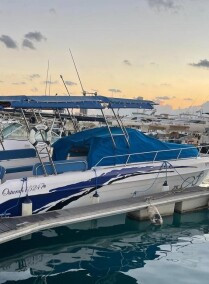 8-hour Yacht trip in the Red Sea
