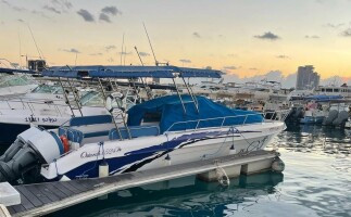 8-hour Yacht trip in the Red Sea