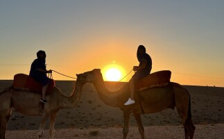 Agafay Desert Sunset Camel Ride from Marrakech