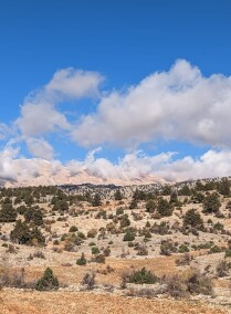 Al Terhal Trek