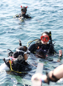 Discover Scuba Diving in the Red Sea
