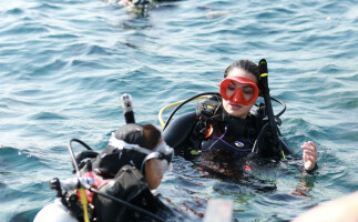 Discover Scuba Diving in the Red Sea