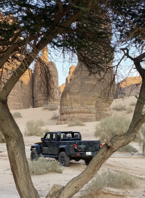 VIP Safari in Sharan