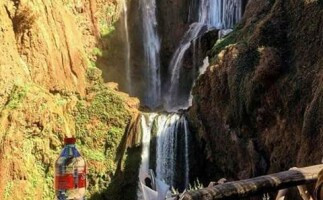 Private Day Trip from Marrakech to Ouzoud Waterfalls - Experience the Beauty of Morocco's Most Stunning Waterfall
