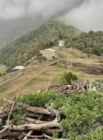 3 Day Tour of Al Soudah, Abha (4/27-4/29)