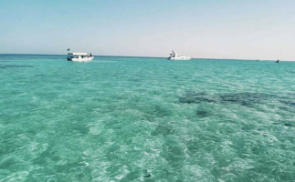 Bayada Island Trip - Jeddah