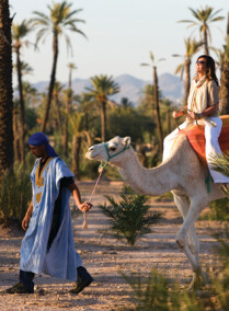 Adventure in Marrakech - Camel Ride in Palm Grove