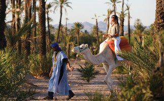 Adventure in Marrakech - Camel Ride in Palm Grove