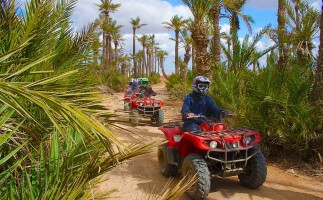 Quad Bike Adventure in Marrakech Palmeraie Oases