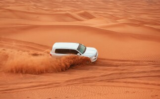 Desert Safari Qatar | From Doha: Dune Bashing, Camel Ride and Inland Sea Day Tour