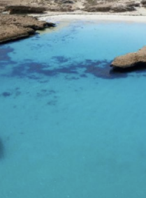 Day Trip to Farasan Islands