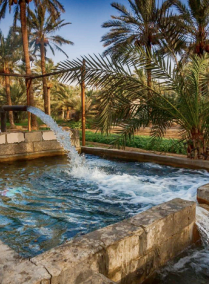 3 Day Tour in Al Ahsa Region