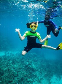 Red Sea Snorkeling Adventure (Daily Trips)