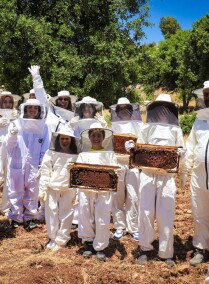 Beekeeping with Um Ahmed