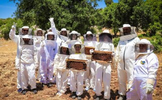 Beekeeping with Um Ahmed