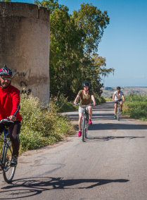 Gadara Light Cycling Tour