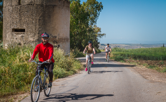 Gadara Light Cycling Tour