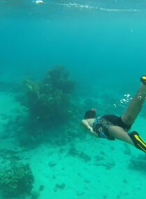 Snorkeling for a Clean Sea Experience