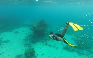 Snorkeling for a Clean Sea Experience