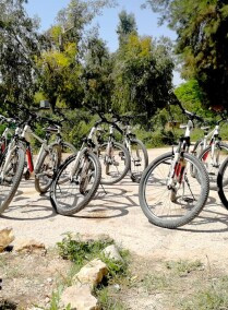 Cycling Tour & Rope Swing Experience