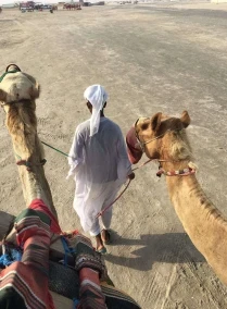 Desert Safari | Inland Sea Half Day Qatar -Doha