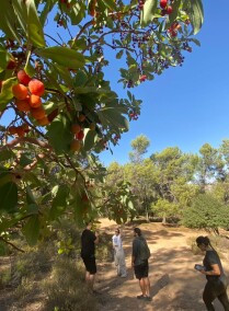 Hike trip in Beit Al-Sultana