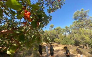 Hike trip in Beit Al-Sultana