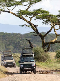 NAKURU, NAIVASHA AND ELEMENTAITA
