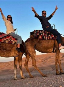 Camel Ride in Riyadh City