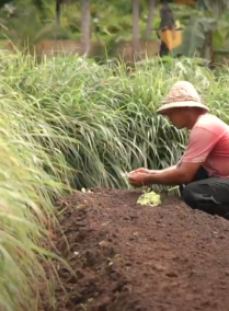 Mana Sustainability Tour