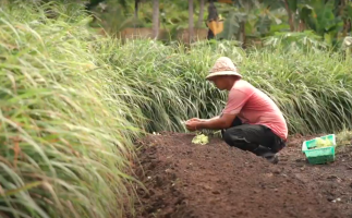 Mana Sustainability Tour