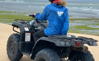 One Hour Guided Quad Ride in Essaouira (Single)