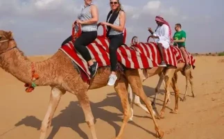 Morning Desert Safari Dubai with Quad Bike, Dune Bashing, Sand Boarding & Camel Ride