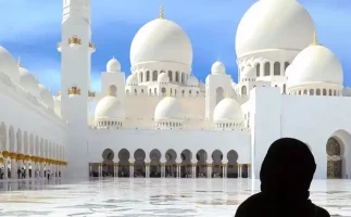 Abu Dhabi Private City Tour from Dubai with Transfers