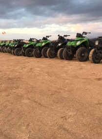 Adventurous Buggy Rides in Dead Sea