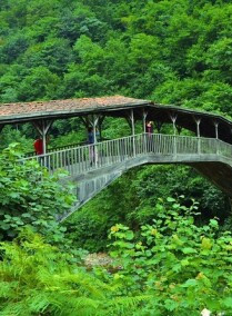Uzungol Tour with Lunch