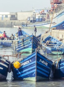 Day trip to Essaouira